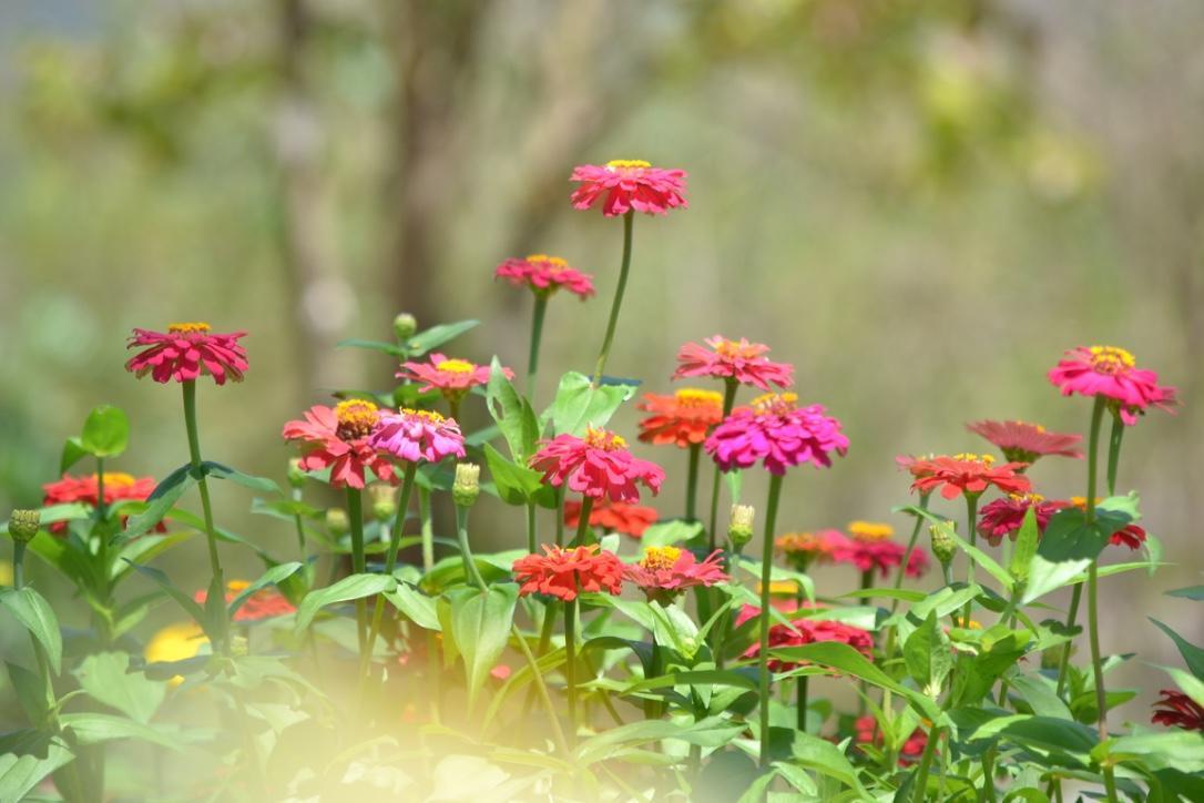 Kongkarn Resort And Farmstay Ban Pak Ngam  ภายนอก รูปภาพ