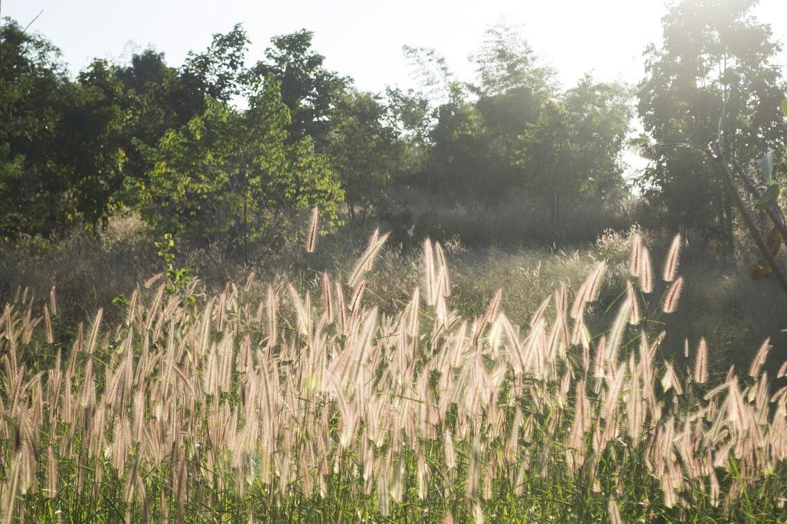 Kongkarn Resort And Farmstay Ban Pak Ngam  ภายนอก รูปภาพ