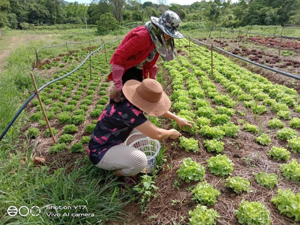 Kongkarn Resort And Farmstay Ban Pak Ngam  ภายนอก รูปภาพ